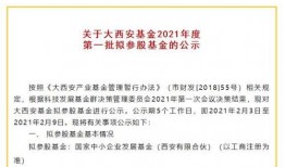 西安基金最新爆料,揭秘投资界的神秘面纱